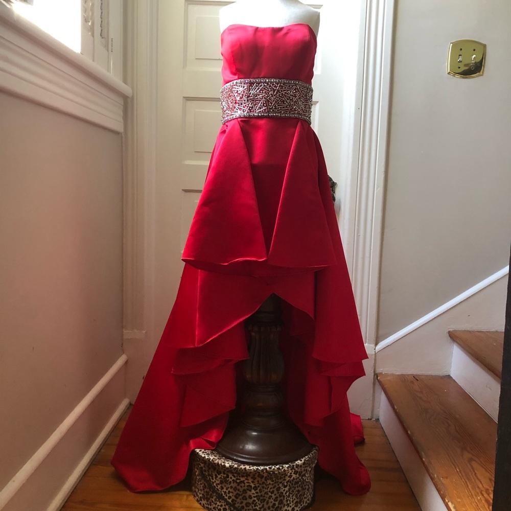Evening Gown/Prom Dress